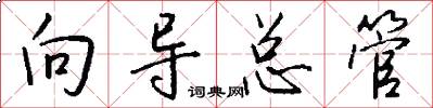 向导总管怎么写好看