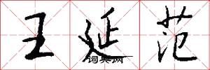 王延范怎么写好看
