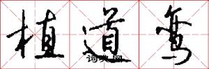 植道鸾怎么写好看