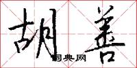 胡善怎么写好看