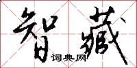 智藏怎么写好看