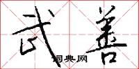 武善怎么写好看