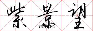 紫景望怎么写好看