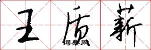 王质薪怎么写好看