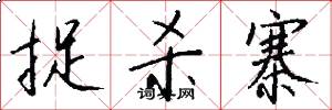 捉杀寨怎么写好看