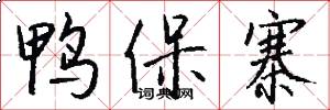 鸭保寨怎么写好看