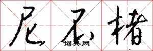 尼不楮怎么写好看