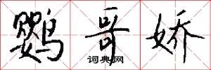 鹦哥娇怎么写好看
