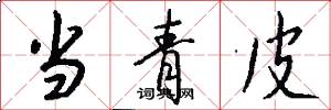 当青皮怎么写好看