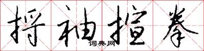 捋袖揎拳怎么写好看