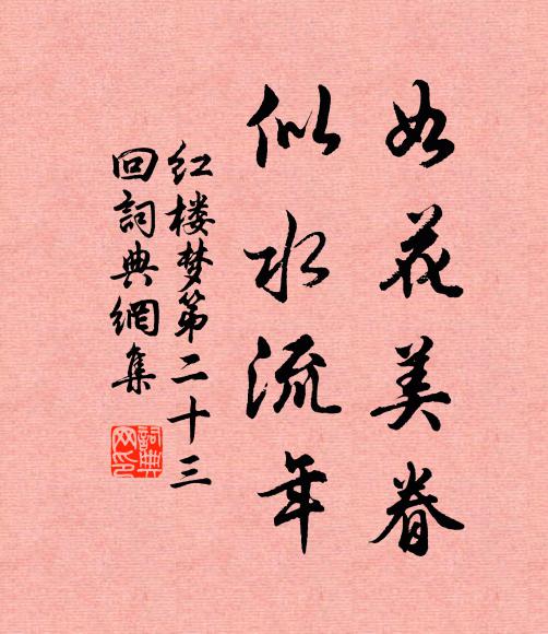 曹雪芹如花美眷,似水流年书法作品欣赏