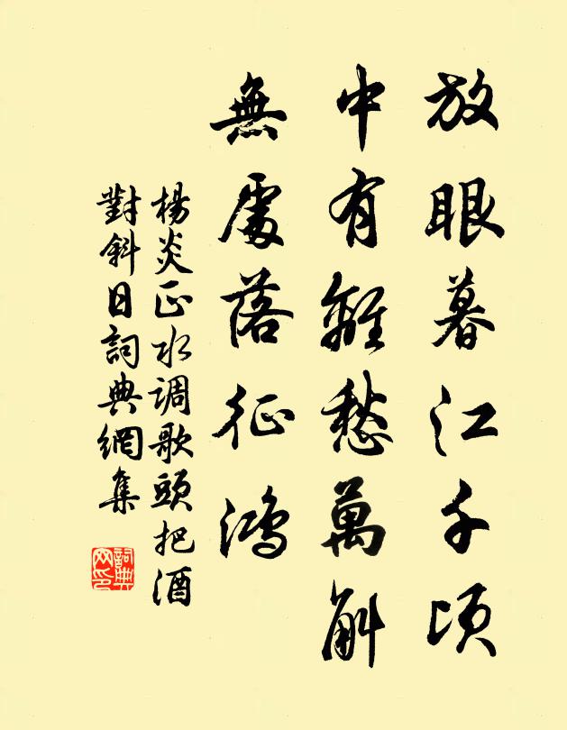 杨炎正放眼暮江千顷,中有离愁万斛,无处落征鸿。书法作品欣赏