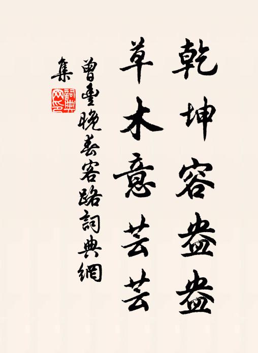 曾丰乾坤容盎盎，草木意芸芸书法作品欣赏