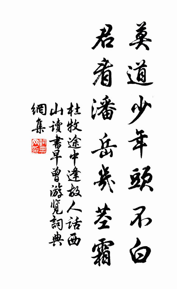 杜牧莫道少年头不白，君看潘岳几茎霜书法作品欣赏