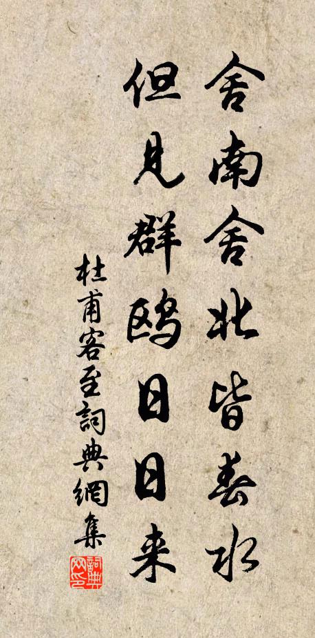 杜甫舍南舍北皆春水,但见群鸥日日来。书法作品欣赏