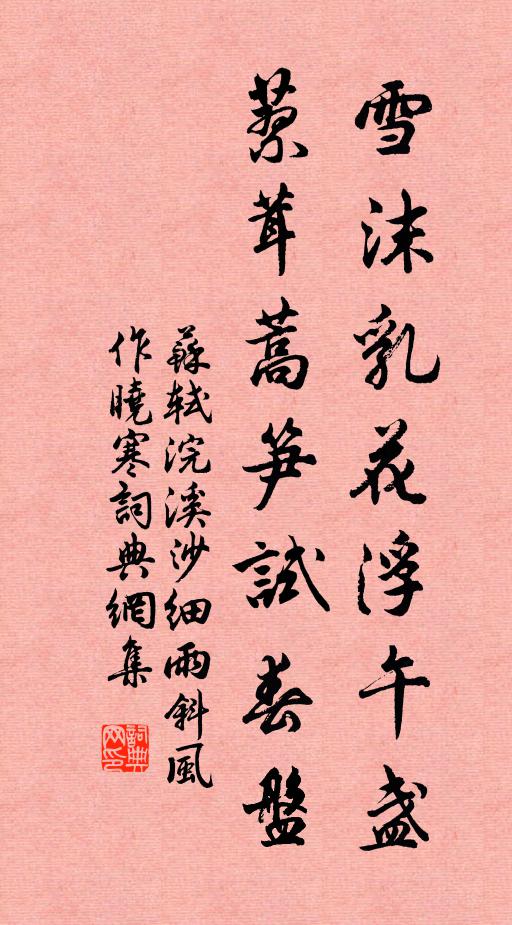 苏轼雪沫乳花浮午盏,蓼茸蒿笋试春盘。书法作品欣赏