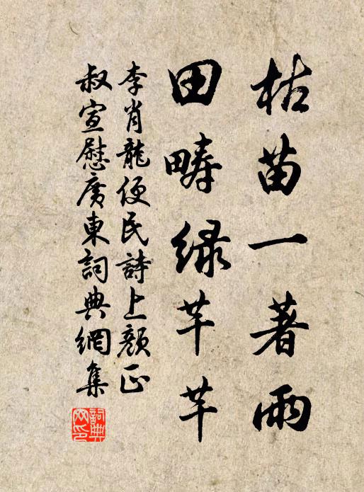 李肖龙枯苗一著雨，田畴绿芊芊书法作品欣赏