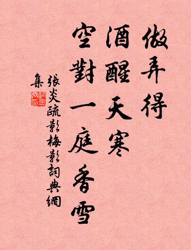 张炎做弄得、酒醒天寒,空对一庭香雪。书法作品欣赏