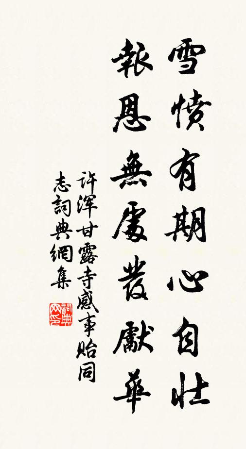 许浑雪愤有期心自壮，报恩无处发先华书法作品欣赏