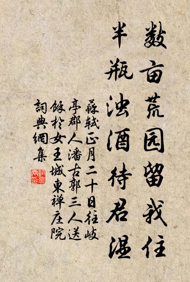 苏轼数亩荒园留我住,半瓶浊酒待君温。书法作品欣赏