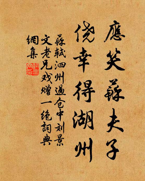 苏轼应笑苏夫子，侥幸得湖州书法作品欣赏