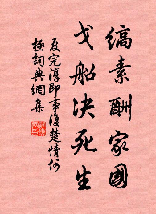 夏完淳缟素酬家国,戈船决死生!书法作品欣赏