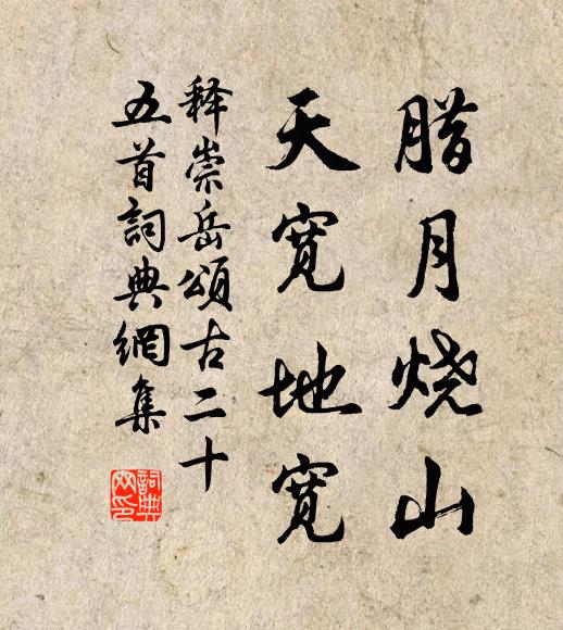 释崇岳腊月烧山，天宽地宽书法作品欣赏