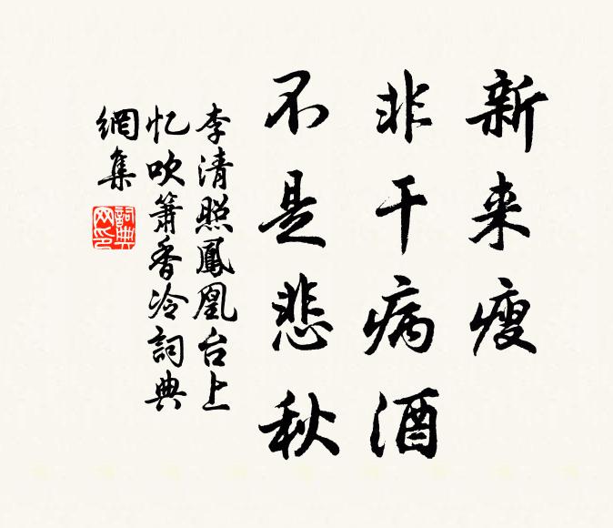 李清照新来瘦，非干病酒，不是悲秋书法作品欣赏