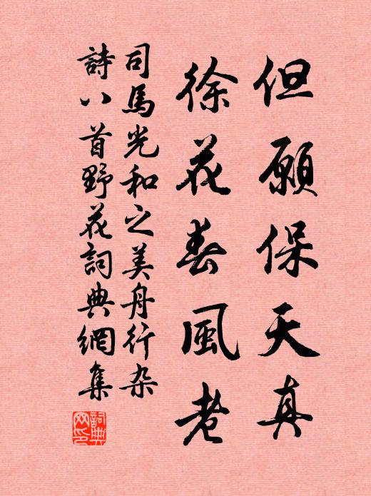 司马光但愿保天真，徐花春风老书法作品欣赏