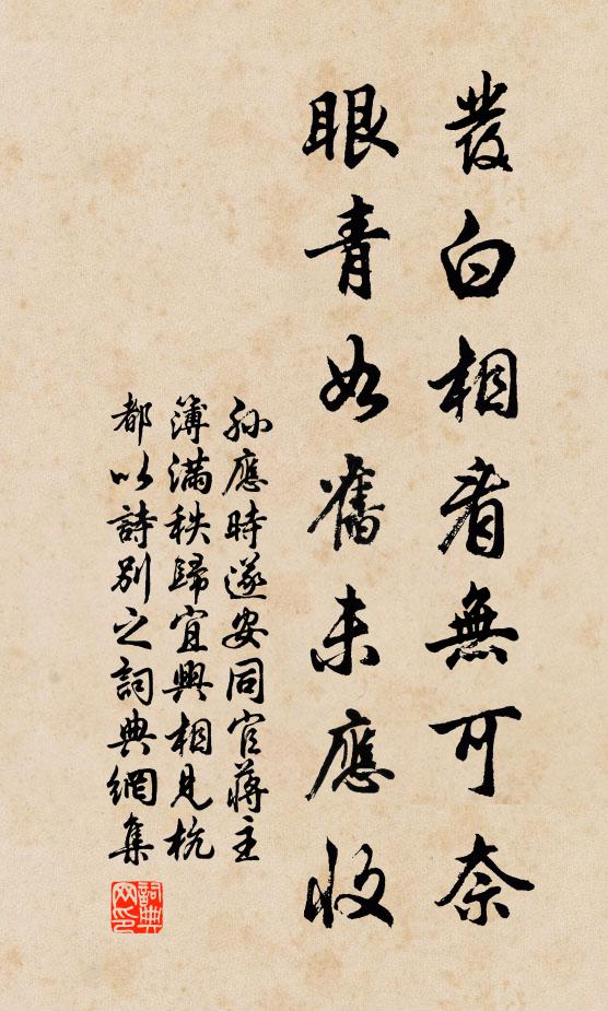 孙应时发白相看无可奈，眼青如旧未应收书法作品欣赏
