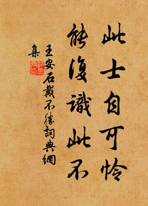 王安石此士自可怜，能复识此不书法作品欣赏