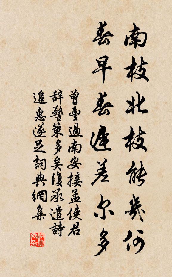 曾丰南枝北枝能几何，春早春迟差尔多书法作品欣赏