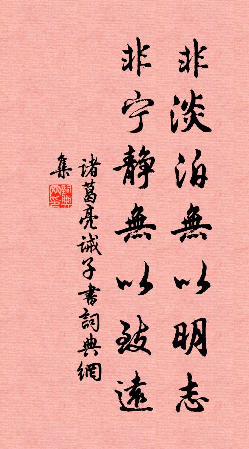 诸葛亮非淡泊无以明志,非宁静无以致远。书法作品欣赏