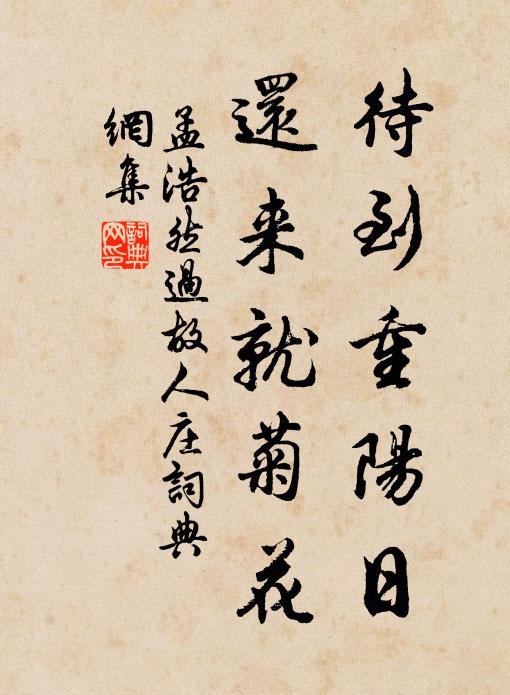 孟浩然待到重阳日,还来就菊花。书法作品欣赏