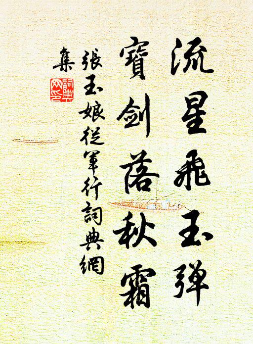 张玉娘流星飞玉弹，宝剑落秋霜。书法作品欣赏