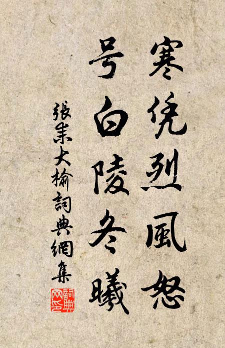 张耒寒凭烈风怒，号白陵冬曦书法作品欣赏