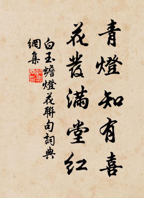 白玉蟾青灯知有喜，花发满堂红书法作品欣赏