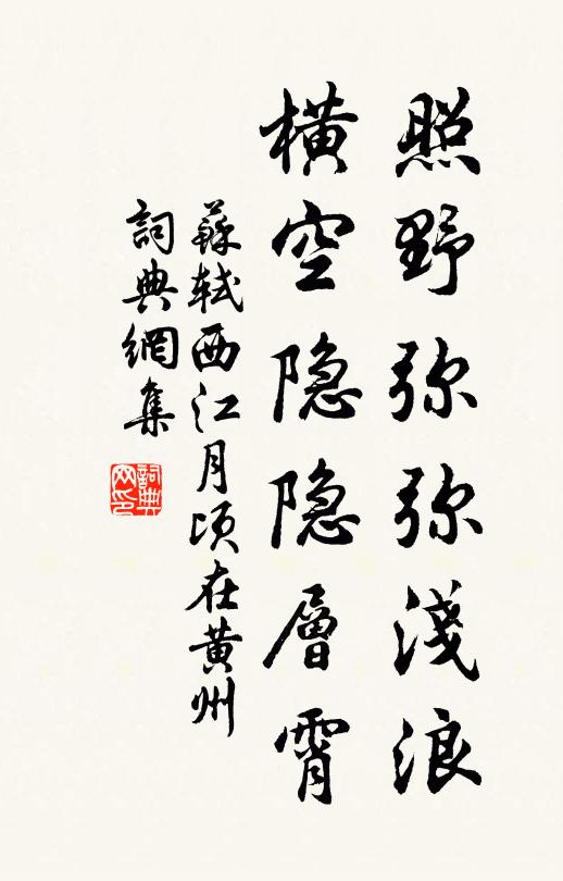 苏轼照野弥弥浅浪，横空隐隐层霄。书法作品欣赏