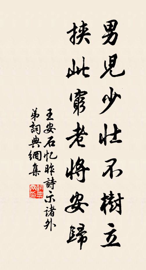 王安石男儿少壮不树立,挟此穷老将安归书法作品欣赏