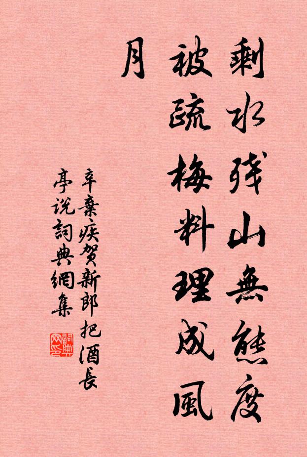 辛弃疾剩水残山无态度,被疏梅料理成风月。书法作品欣赏
