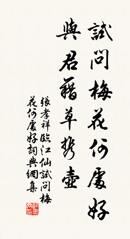 张孝祥试问梅花何处好，与君藉草携壶。书法作品欣赏