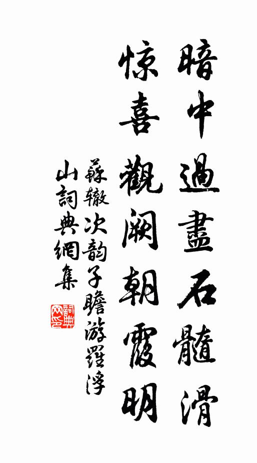 苏辙暗中过尽石髓滑，惊喜观阙朝霞明书法作品欣赏