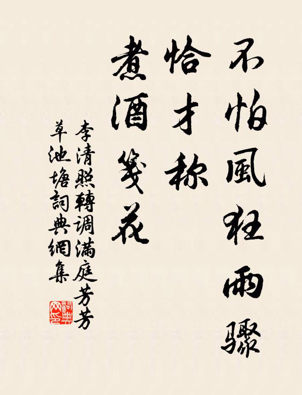 李清照不怕风狂雨骤,恰才称,煮酒笺花。书法作品欣赏