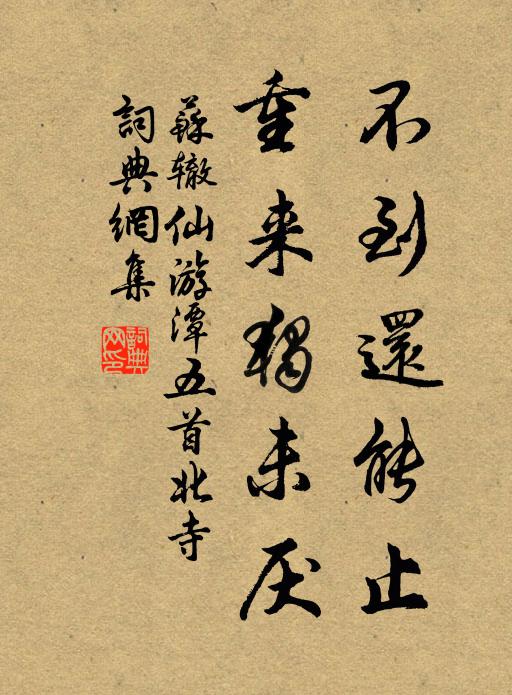 苏辙不到还能止，重来独未厌书法作品欣赏
