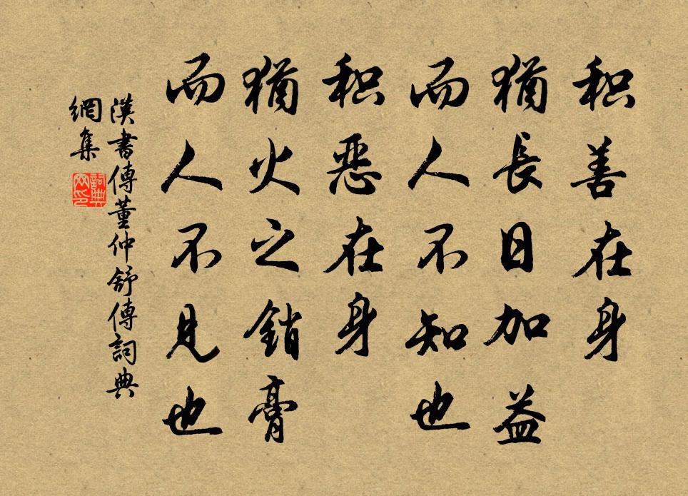 班固积善在身，犹长日加益，而人不知也；积恶在身，犹火之销膏，而人不见也。书法作品欣赏