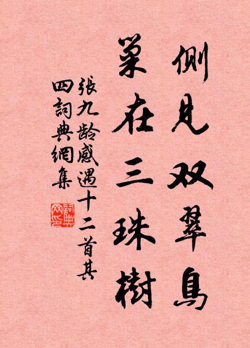 张九龄侧见双翠鸟，巢在三珠树书法作品欣赏