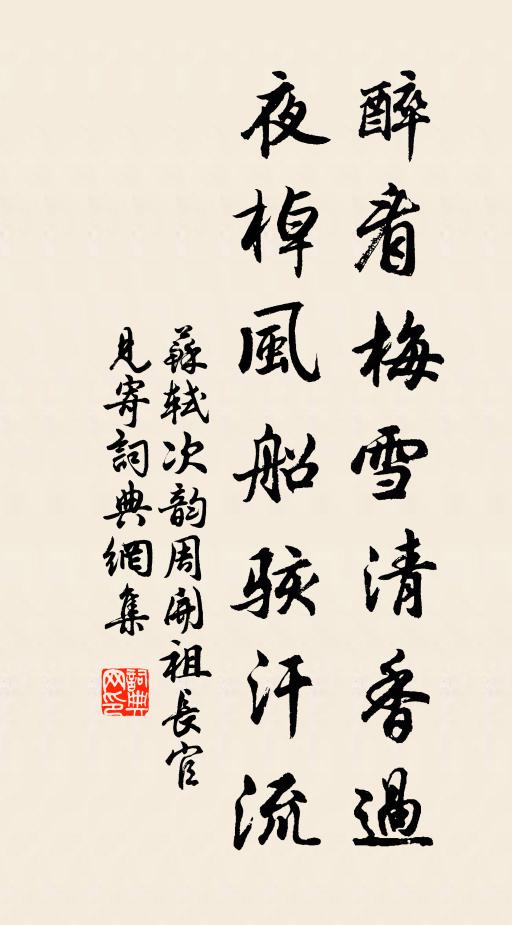 苏轼醉看梅雪清香过，夜棹风船骇汗流书法作品欣赏