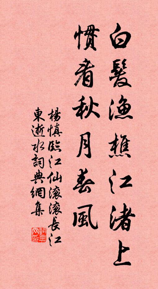 杨慎白发渔樵江渚上，惯看秋月春风。书法作品欣赏