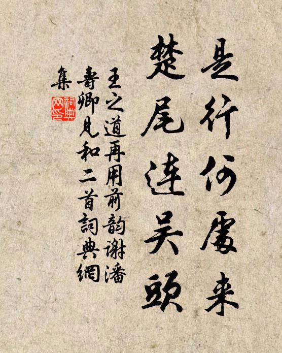 王之道是行何处来，楚尾连吴头书法作品欣赏