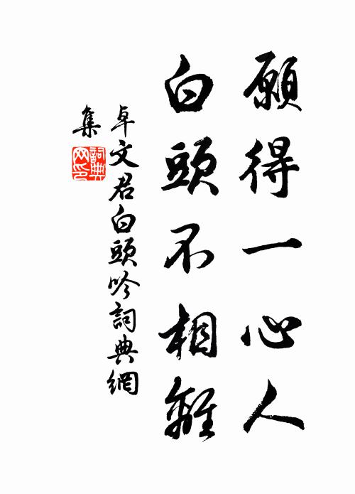 卓文君愿得一心人,白头不相离。书法作品欣赏
